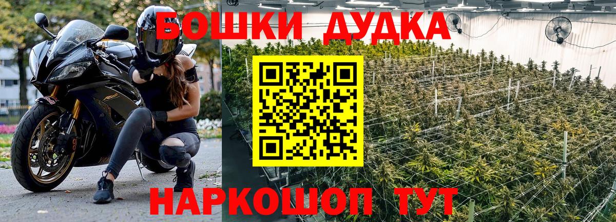Конопля индика Лысьва